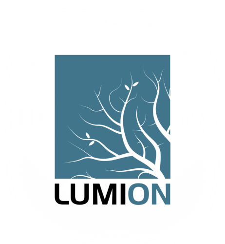Lumion